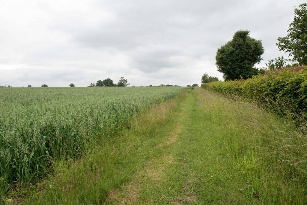 Immaculate Barn Annexe Close To Stansted Airport Great Dunmow Buitenkant foto