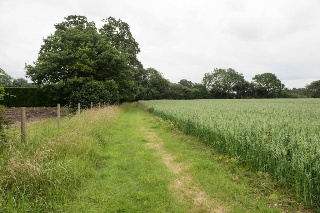 Immaculate Barn Annexe Close To Stansted Airport Great Dunmow Buitenkant foto