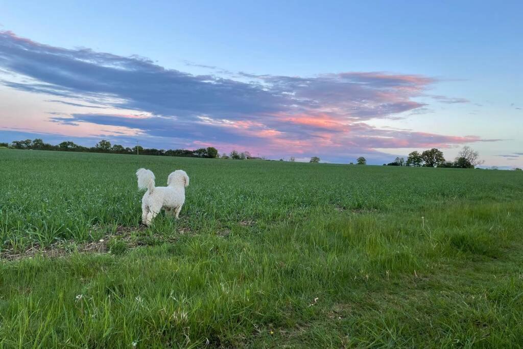 Immaculate Barn Annexe Close To Stansted Airport Great Dunmow Buitenkant foto